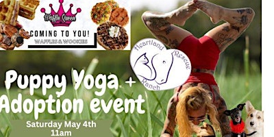Imagem principal do evento Puppy Yoga + Adoption Event!