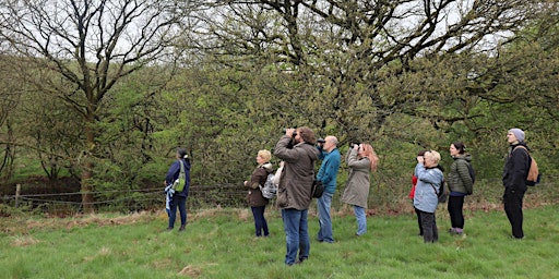 Guided Dawn Chorus Birdsong Walk at The Smithills Estate primary image