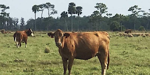 Hauptbild für Learn How Farming and Ranching Fit in Southwest Florida