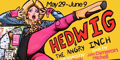Imagen principal de Hedwig and the Angry Inch