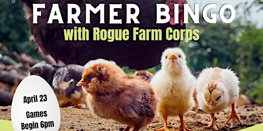 Immagine principale di Bingo Night with Rogue Farm Corps 