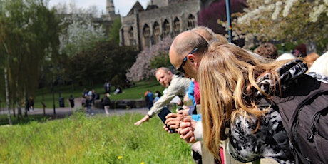 Lunchtime Guided Wildlife Walk with Ed Drewitt