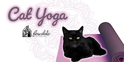 Cat Yoga primary image