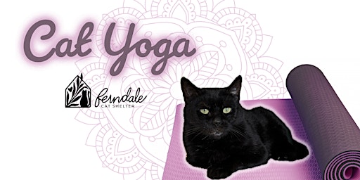 Imagem principal do evento Cat Yoga