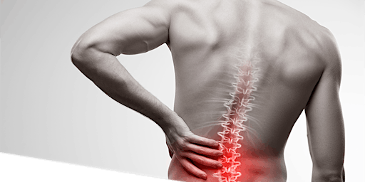 Image principale de Low Back Pain Seminar