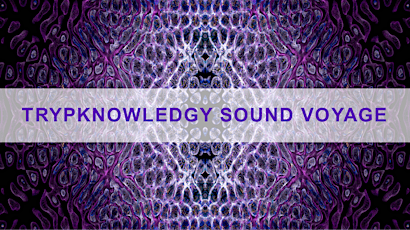Live Acoustic Sound Therapy: Trypknowledgy Sound Voyage