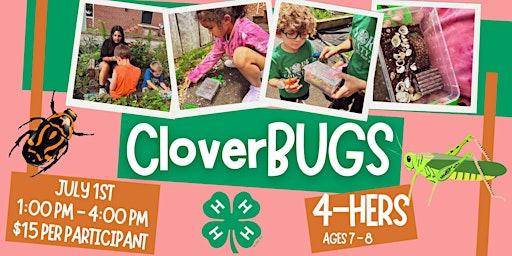 Imagem principal do evento CloverBUGS Camp (Ages 7 - 8)