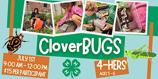 Imagem principal do evento CloverBUGS Camp (Ages 5 - 6)