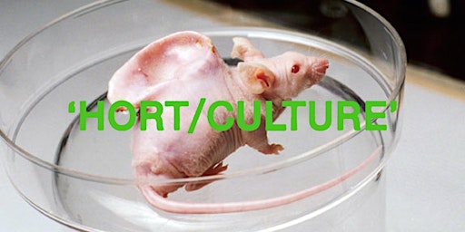 HORT/CULTURE: Nonhuman Teachers + Erik "Lizardman" Sprague primary image