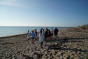 Hauptbild für Sea Turtle Ecology Beach Walk