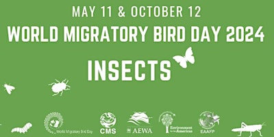 World Migratory Bird Day: Bird Walk and Talk at King Gillette Ranch primary image