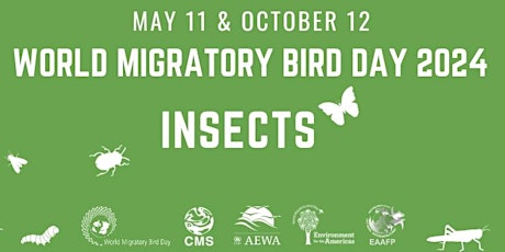 World Migratory Bird Day: Bird Walk and Talk at King Gillette Ranch