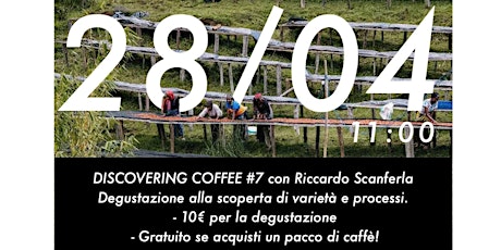 Coffee Cupping / Degustazione di Caffè