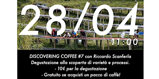 Imagem principal do evento Coffee Cupping / Degustazione di Caffè