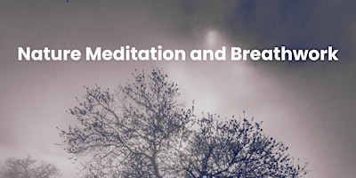 Nature Meditation and Breathwork Experience primary image