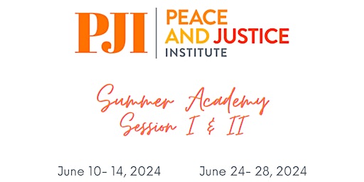 Image principale de PJI Summer Academy 2024