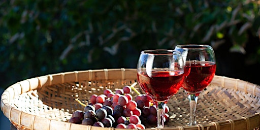 Imagem principal do evento Platicas y Pruebas: Red Wines by Ofrenda Wines