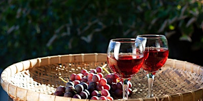 Platicas y Pruebas: Red Wines by Ofrenda Wines primary image