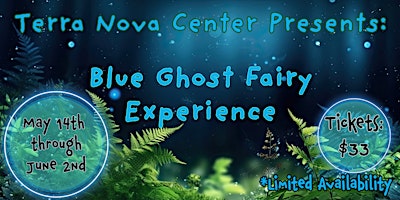 Blue Ghost Fairy Experience at Terra Nova Center primary image