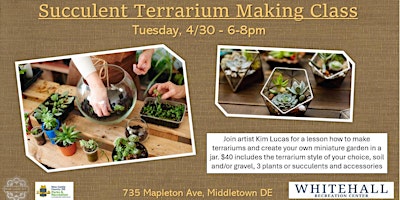 Succulent Terrarium Making Workshop primary image
