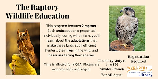 Image principale de The Raptory: Wildlife Education