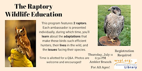 The Raptory: Wildlife Education