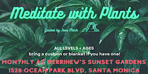 Imagem principal do evento May Meditate with Plants
