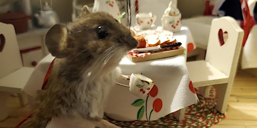 Beginner mouse taxidermy class primary image