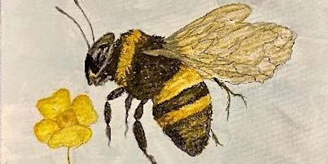 Bumblebee and Buttercups | Brenda Dwyer, instructor