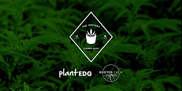 Home Cultivation with Plant EDG and Pottery