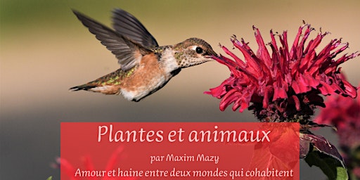 Imagen principal de Tour du monde des plantes