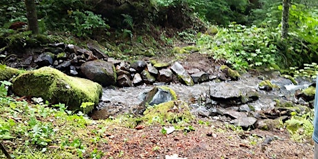 Upper Eagle Creek: Rebuilding Water-Damaged Tread (Oct 8) primary image