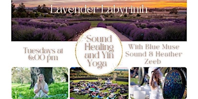 Imagem principal do evento Lavender Labyrinth Yin Yoga & Sound Healing