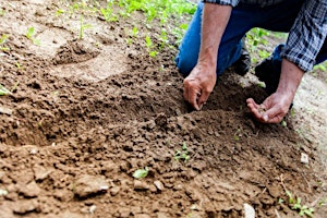 Primaire afbeelding van Warm Season Vegetable Class