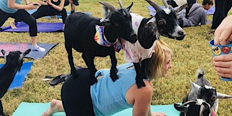 Goat Yoga @ 9Round