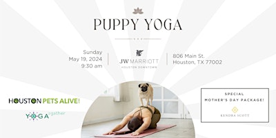 Puppy Yoga  primärbild