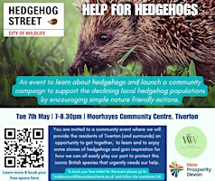 HELP FOR HEDGEHOGS - CREDITON primary image