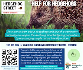 HELP FOR HEDGEHOGS - CREDITON