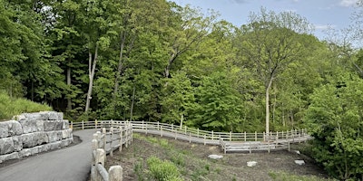 Image principale de Midtown Spring Hike