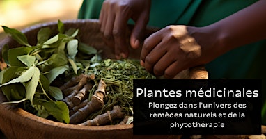 Plantes médicinales  primärbild