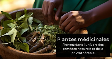 Primaire afbeelding van Plantes médicinales