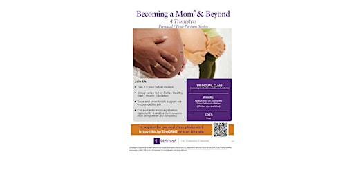 Becoming a Mom ~ 3 Trimester Prenatal  Education primary image