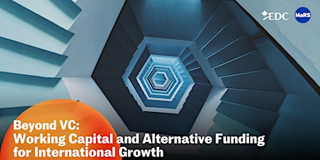 Beyond VC: Working Capital and Alternative Funding for International Growth