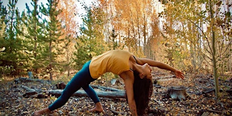 Yoga  Bilingüe