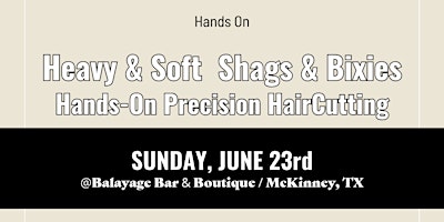 Heavy & Soft | Shags & Bixies | Hands-On Precision HairCutting primary image