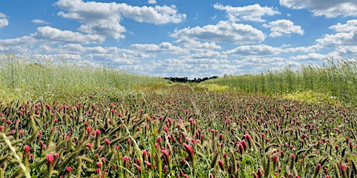 Image principale de 2024 Climate Smart Cover Crop Field Day