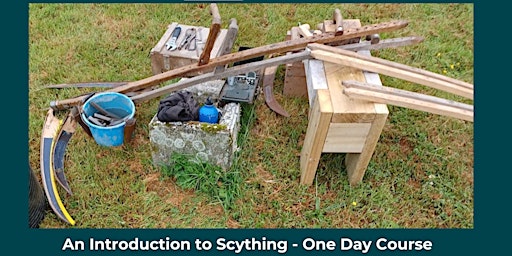 Immagine principale di An Introduction to Scything - One Day Course 