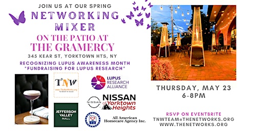 Immagine principale di TheNetWorks Spring Networking Mixer + Fundraiser for Lupus Awareness Month 