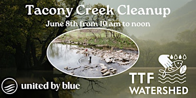 Imagem principal do evento Tacony Creek Cleanup