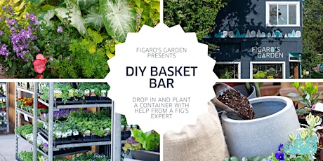 Basket Bar: DIY Planting Station